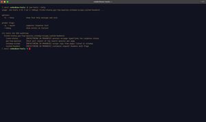 Screenshots of SEO Tools help output.